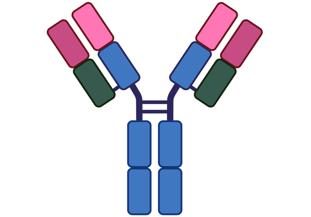 IL-3RB Antibody(YA3396)
