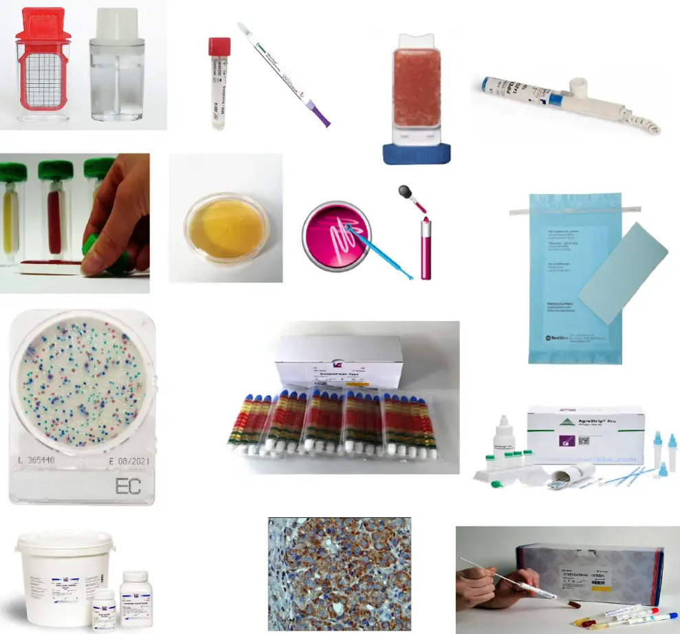 KIT DE TYPAGE LEVURES & BACTERIES 200 µL 4EVERYONE