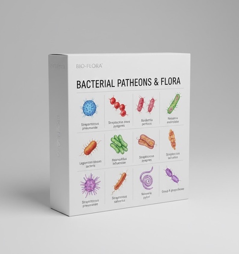 [bact-ks-1235] Streptococcus pneumoniae