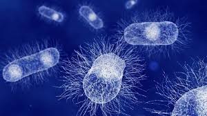 Emerging Viral Pathogenesis: Trends and Insights